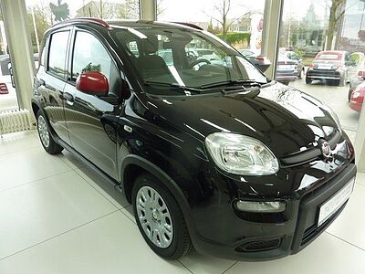 Fiat Panda Pandina HYBRID 1,0  51 kW ( 70 PS ) Sitzhe